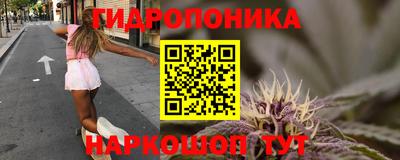 дмт Можайск