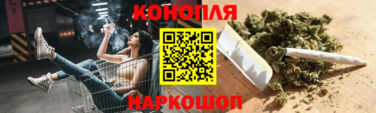Каннабис сатива Чебаркуль